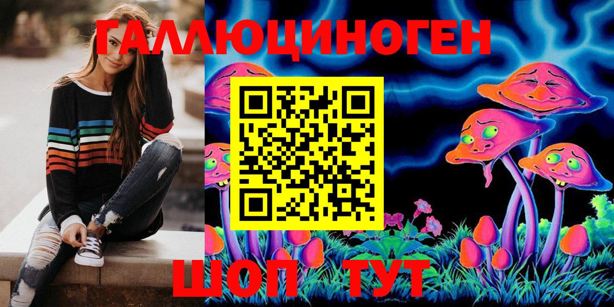 Псилоцибиновые грибы Psilocybe  Вход с VPN  Пушкино 