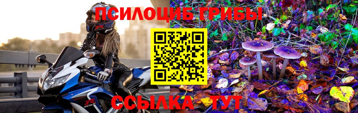 Галлюциногенные грибы мухоморы Пушкино
